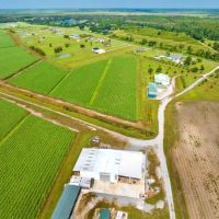 RIDGELAND FARMS - 1 800 Acres in Terrebonne Parish LA