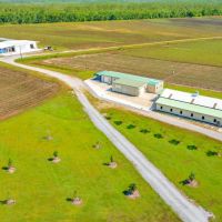 RIDGELAND FARMS - 1 800 Acres in Terrebonne Parish LA images 2