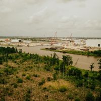 RIDGELAND FARMS - 1 800 Acres in Terrebonne Parish LA images 5