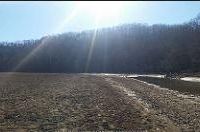 Beech Fork WMA - 7,531 acres Deer & Turkey hunting land in west WV