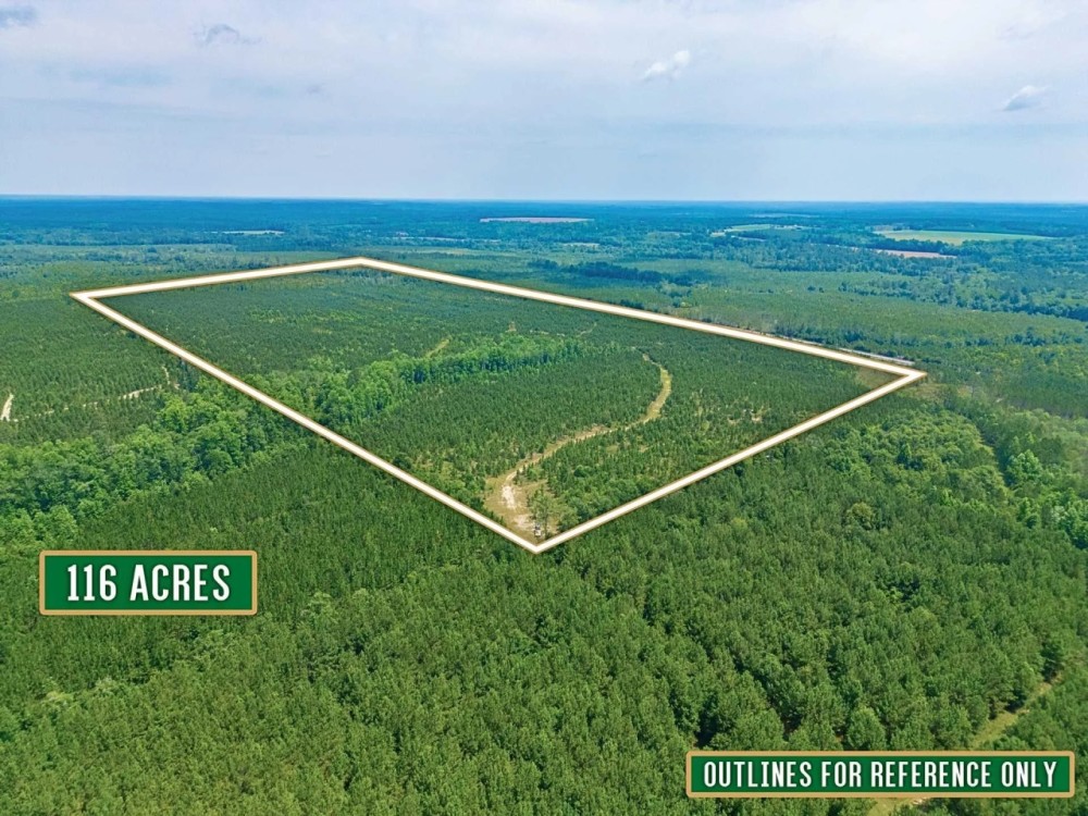 116 Acre Prime Hunting and Timberland tract featured image