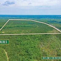 116 Acre Prime Hunting and Timberland tract images 2