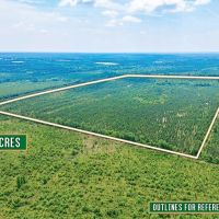 116 Acre Prime Hunting and Timberland tract images 3