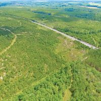 116 Acre Prime Hunting and Timberland tract images 5