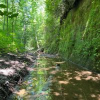 Shoal Creek Tract -230 Acres