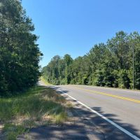 Shoal Creek Tract -230 Acres images 2