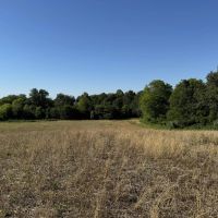 43 - acres located on the edge of Marion city limits images 3