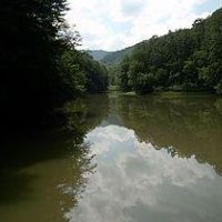 Berwind Lake WMA - 85 acres Turkey hunting land in McDowell, WV