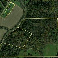 Ranch-style Home with Manufactured Home on 51 acres in Scio NY 3504 Knights Creek Rd images 5