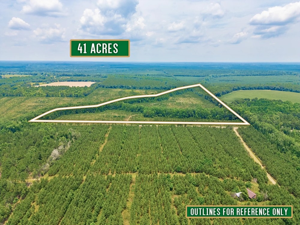 41-Acre Retreat with Thriving Pines on Powell School Road featured image