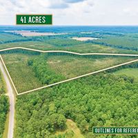41-Acre Retreat with Thriving Pines on Powell School Road images 3