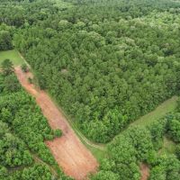 Hunting Land for Sale in East Baton Rouge Parish