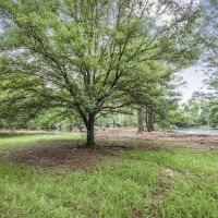 Hunting Land for Sale in East Baton Rouge Parish images 2