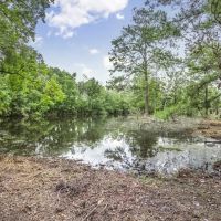 Hunting Land for Sale in East Baton Rouge Parish images 3