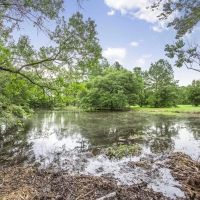 Hunting Land for Sale in East Baton Rouge Parish images 4