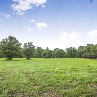 Hunting Land for Sale in East Baton Rouge Parish images 5