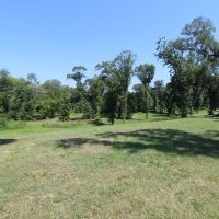 Oak Bottom on Nochaway Creek images 3