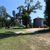 Oak Bottom on Nochaway Creek images 4