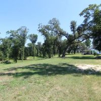 Oak Bottom on Nochaway Creek images 5