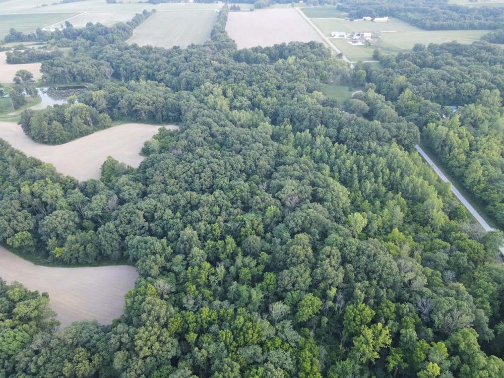 200 County Road 650 E Montrose IL featured image