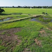 New Listing 49.02 Acres Callahan County images 2