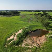 New Listing 49.02 Acres Callahan County images 4