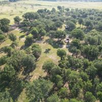 New Listing 49.02 Acres Callahan County images 5