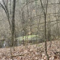 Img 7539