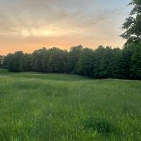 generous 80+ Acres - deer only