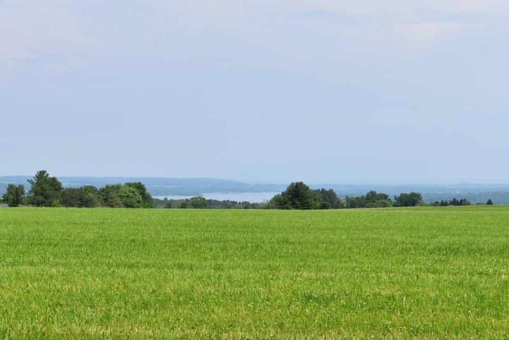 Stunning Stoneledge Vista featured image