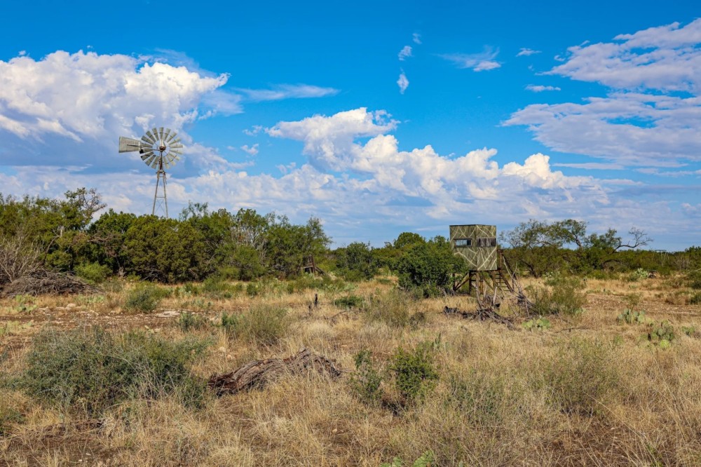 500 Acres With House featured image