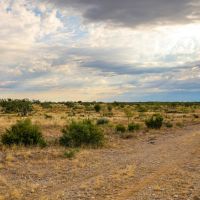 500 Acres With House images 5