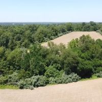 Excellent small tract for hunting images 2