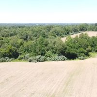 Excellent small tract for hunting images 4
