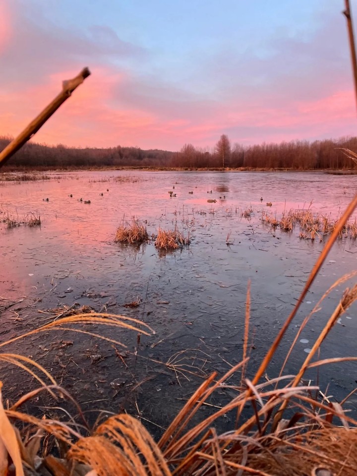 365 Acre Duck Dynasty Located in Hardin County Tennessee featured image