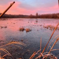 365 Acre Duck Dynasty Located in Hardin County Tennessee