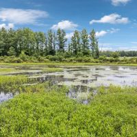 365 Acre Duck Dynasty Located in Hardin County Tennessee images 2