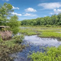 365 Acre Duck Dynasty Located in Hardin County Tennessee images 3
