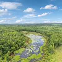 365 Acre Duck Dynasty Located in Hardin County Tennessee images 5