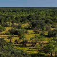Double LJ Ranch images 4