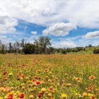 3485B County Road 530 Evant Texas 76525 images 4