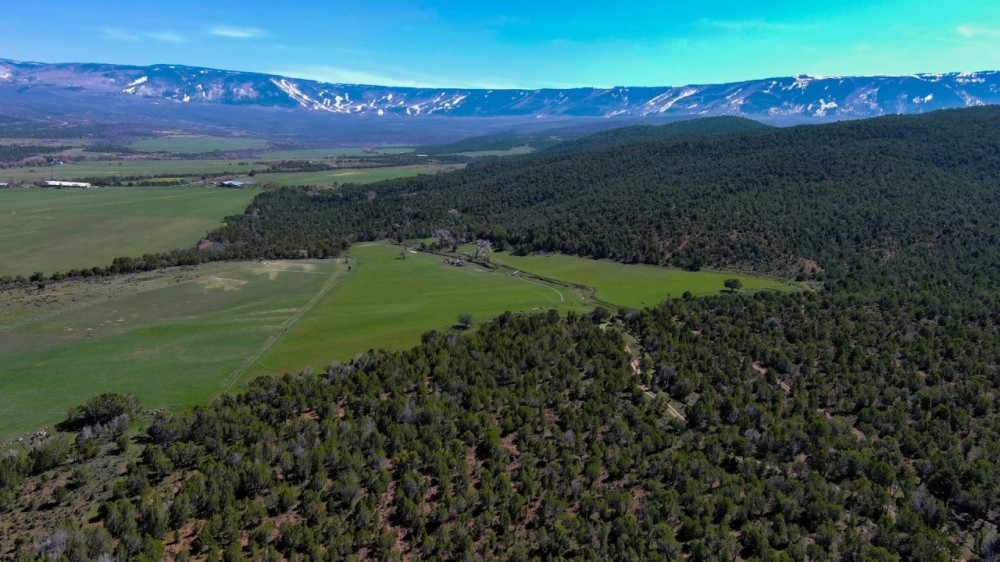 Manhart Property featured image