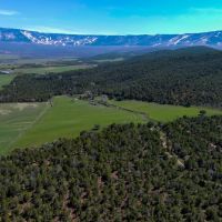 Manhart Property