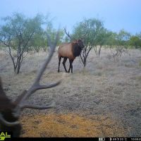 Wichita Mountains 320