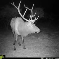 Wichita Mountains 320 images 4