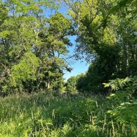 LAND FOR SALE - 10 ACRES - RECREATIONAL- HUNTING - CLOVERDALE INDIANA - PUTNAM COUNTY images 2