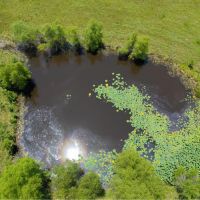 40 Acres in Muskogee County Parcel 3 images 5