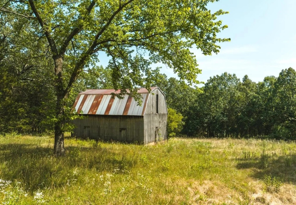 Shotwell Road featured image