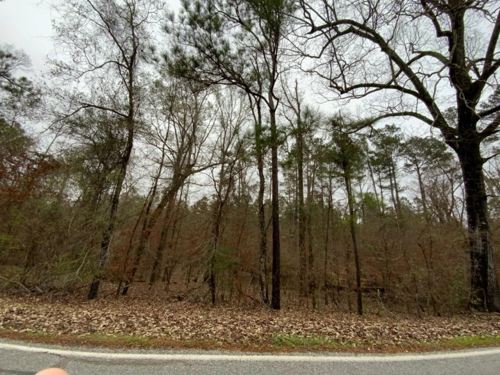 Posey Webb Camp Road - Tract C Catahoula Parish 22.11 Acres - featured image