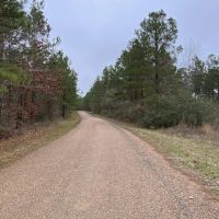Posey Webb Camp Road - Tract C Catahoula Parish 22.11 Acres - images 5